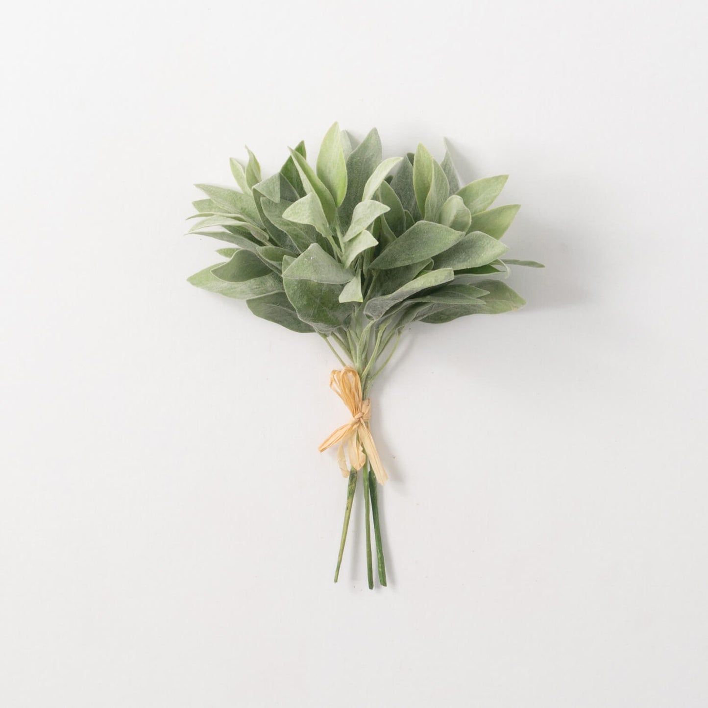 Sage Bundle
