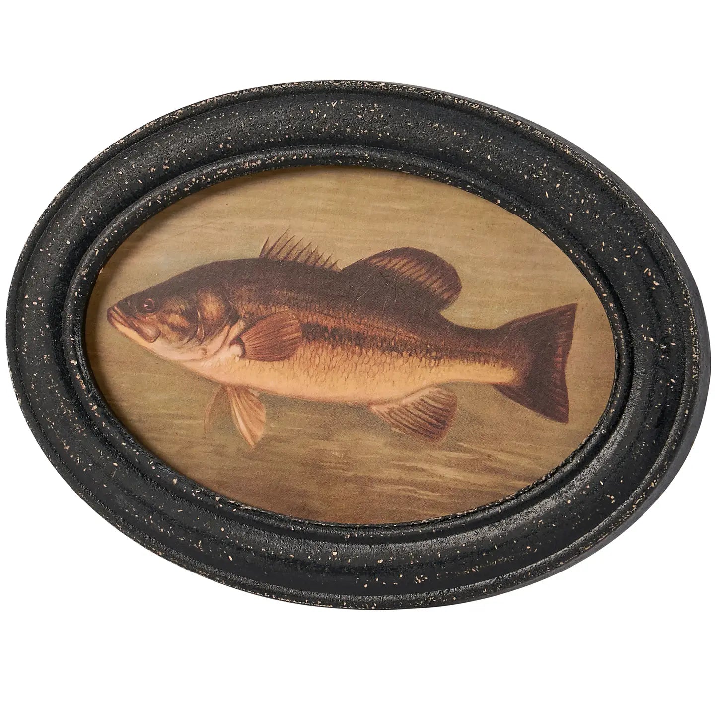 Bass Hanger Decor