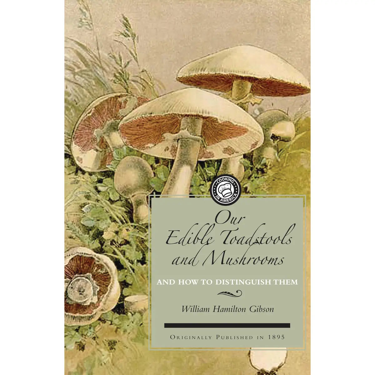 Edible Toadstools & Mushrooms