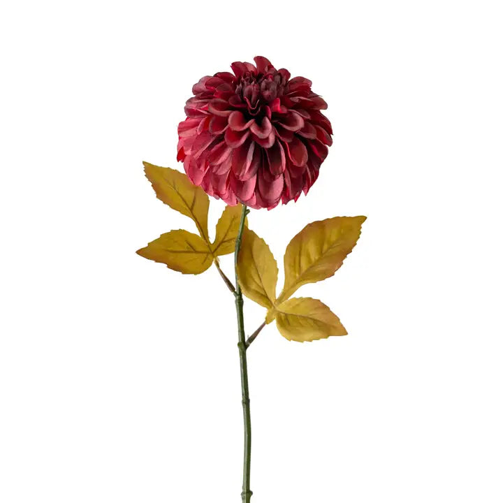 24" Red Dahlia