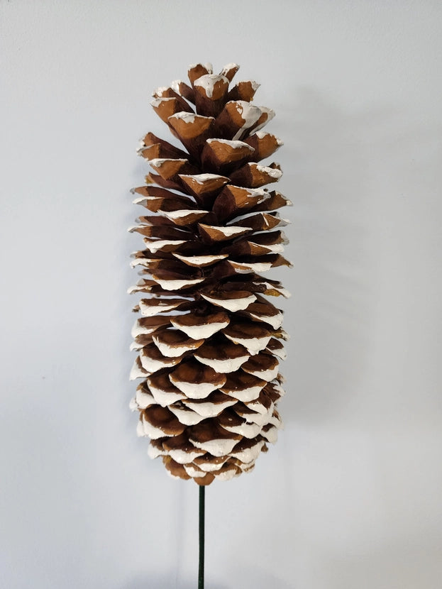 Sugar Pinecone with Snow Pick