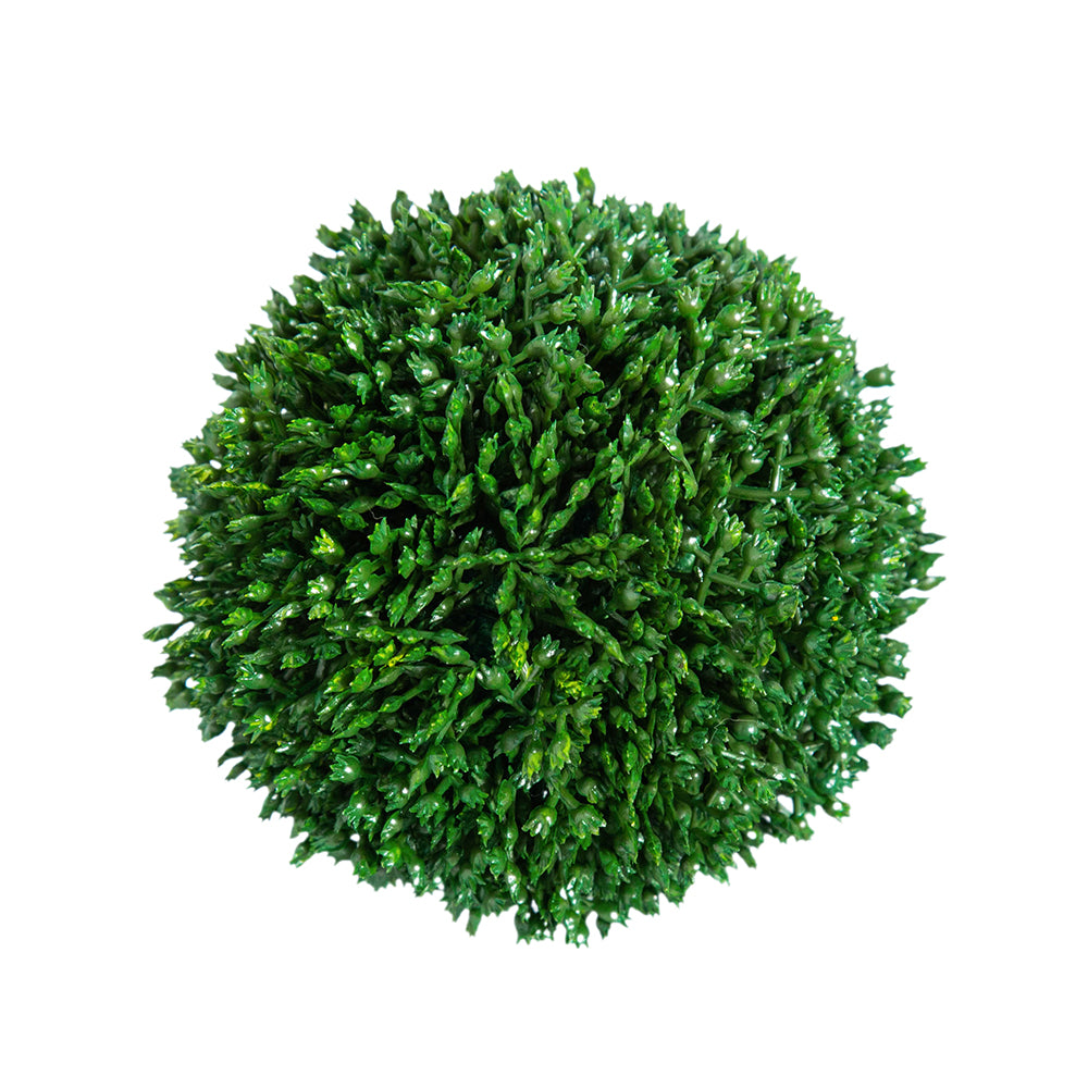 4" Sedum Ball
