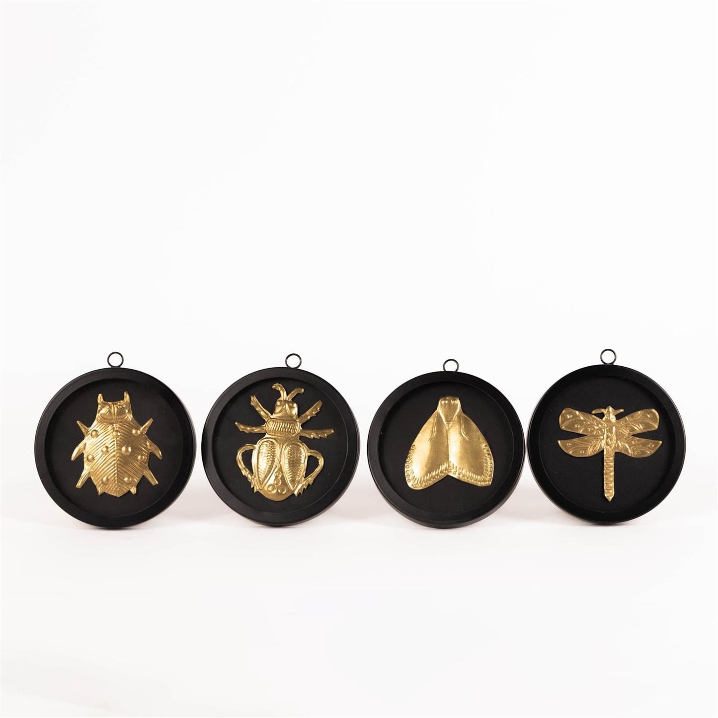 Black Round Framed Brass Bug