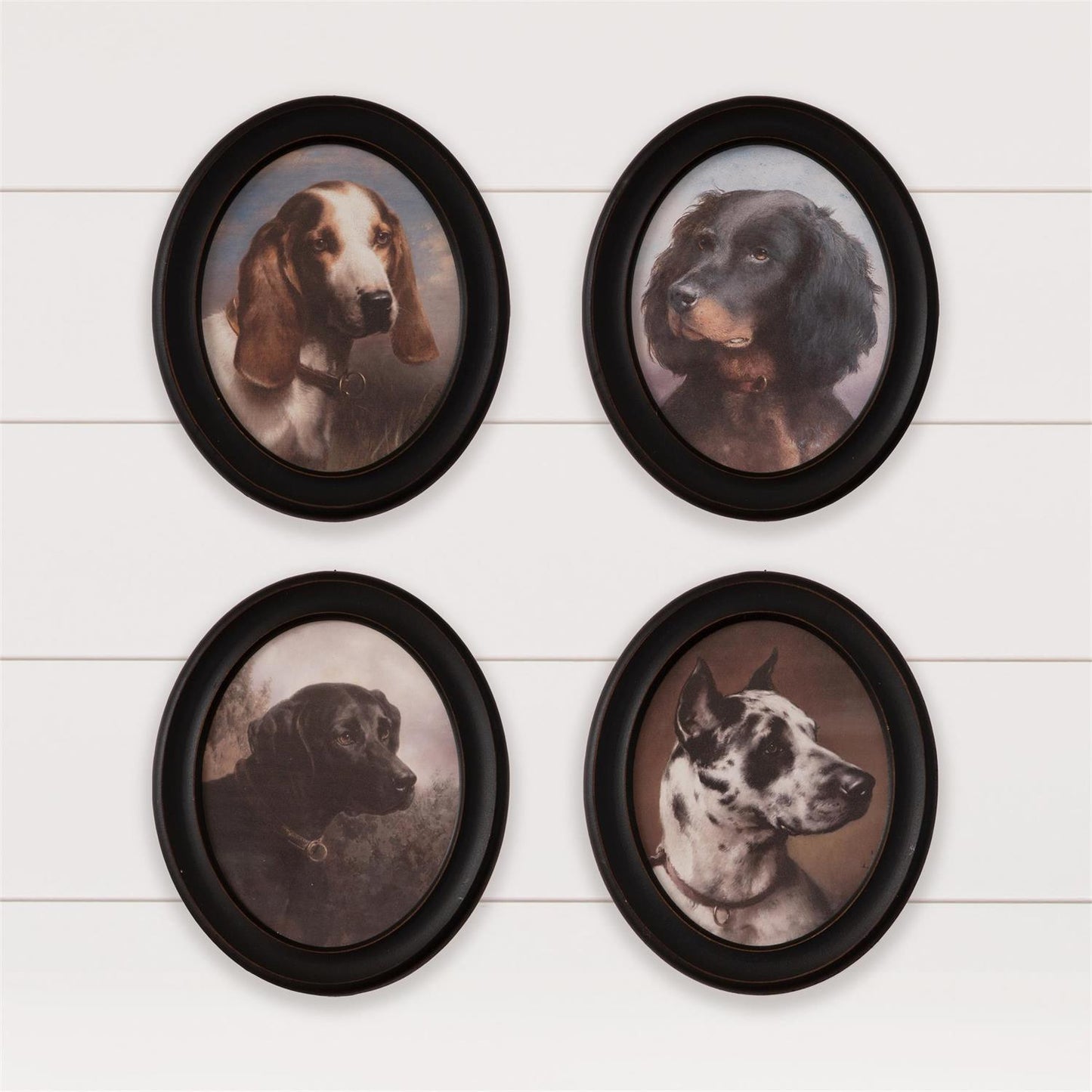 Framed Hunting Dog Prints