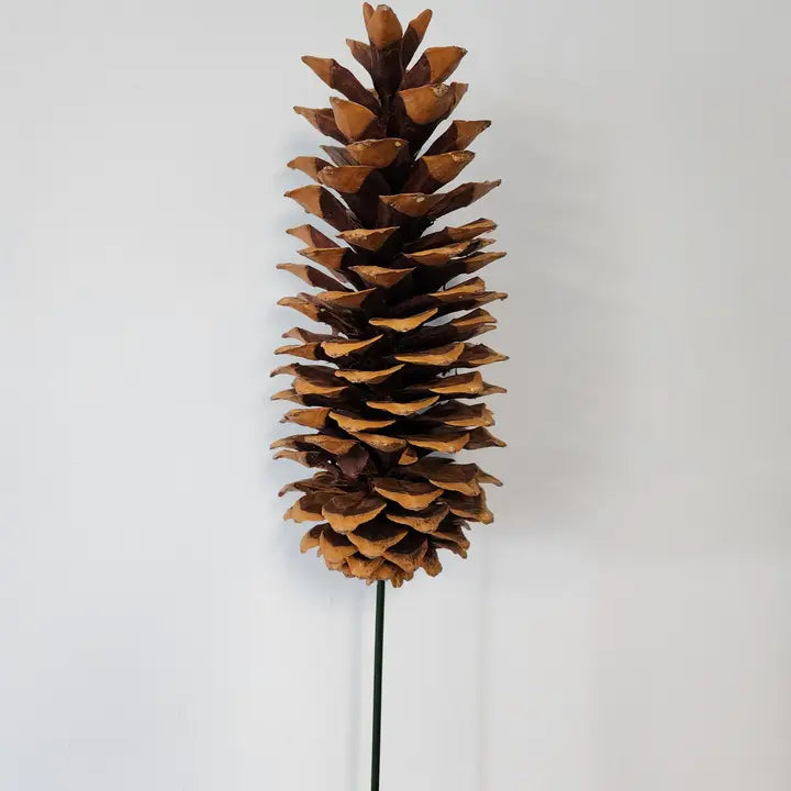 Sugar PINECONE PICK