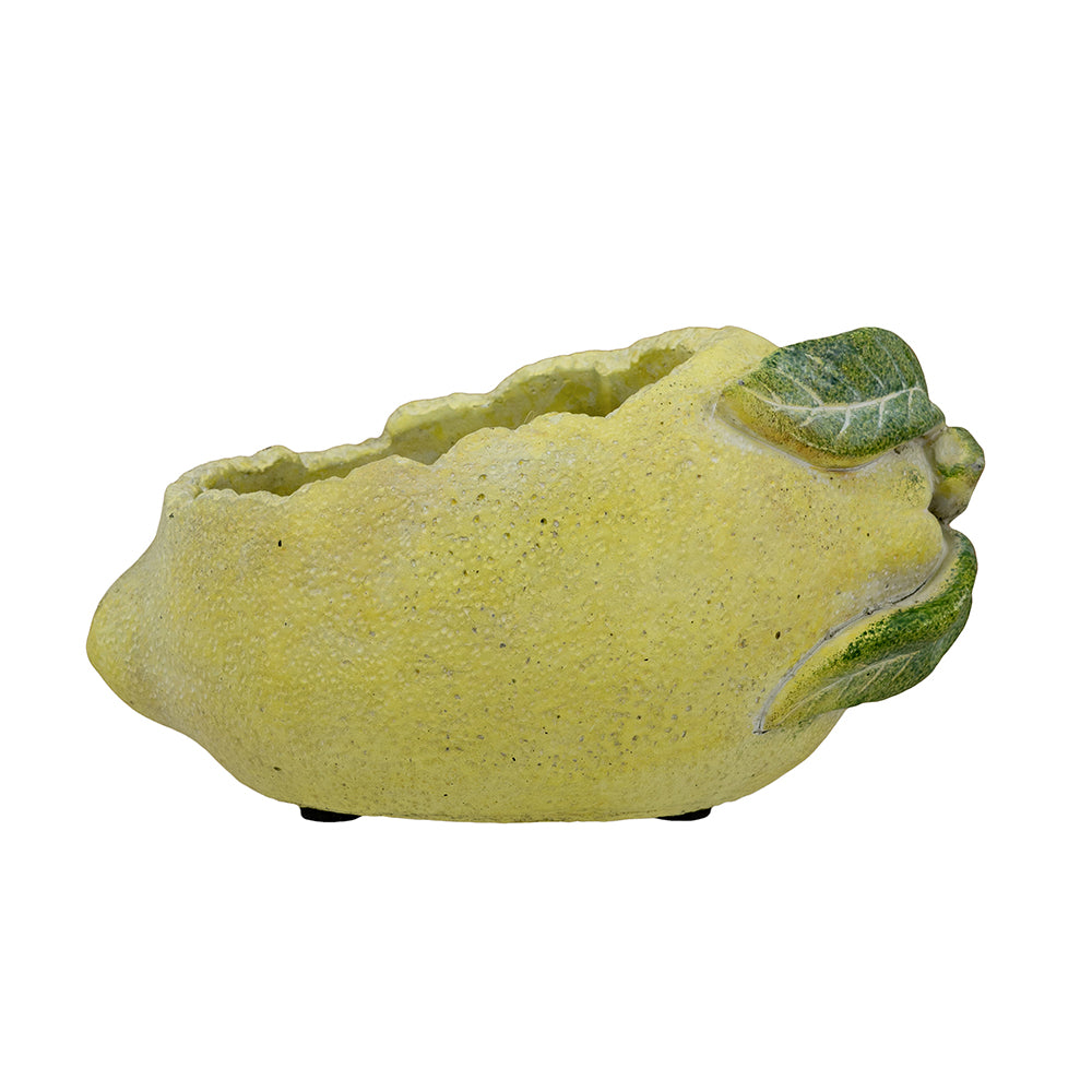 Cement Lemon Planter