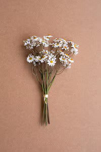 10" Faux Chamomile Bundle