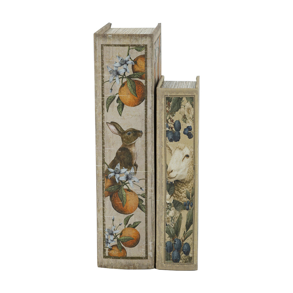 Book Storage Box