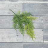 18" Asparagus Fern