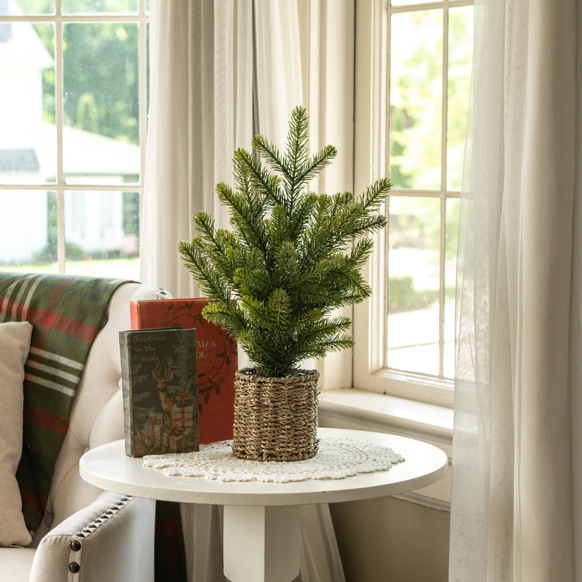 20" Pine Tree in Basket