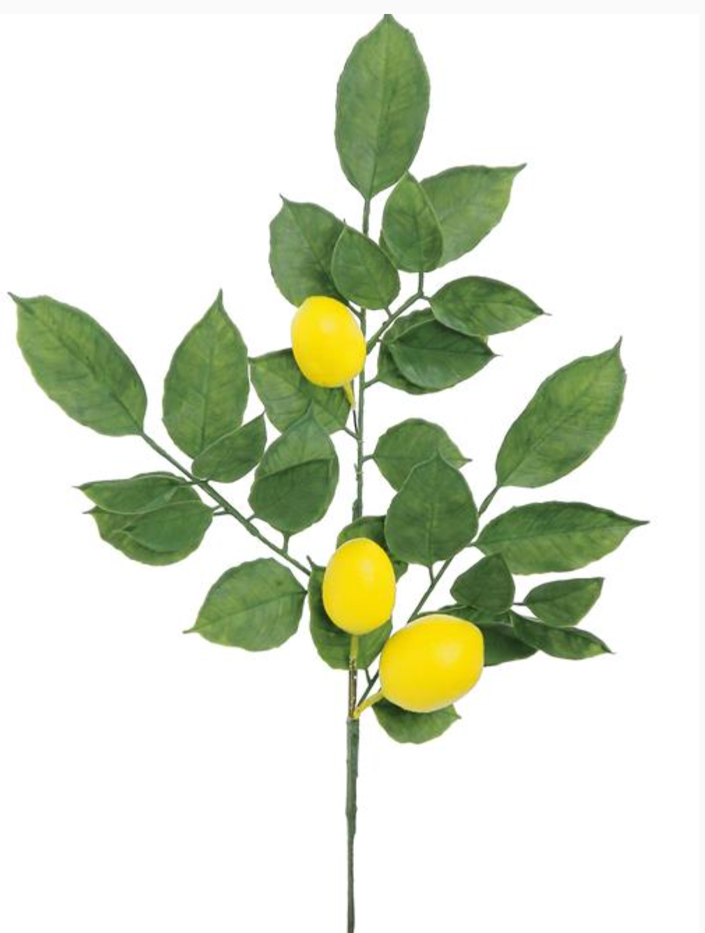 Fruiting Lemon Spray