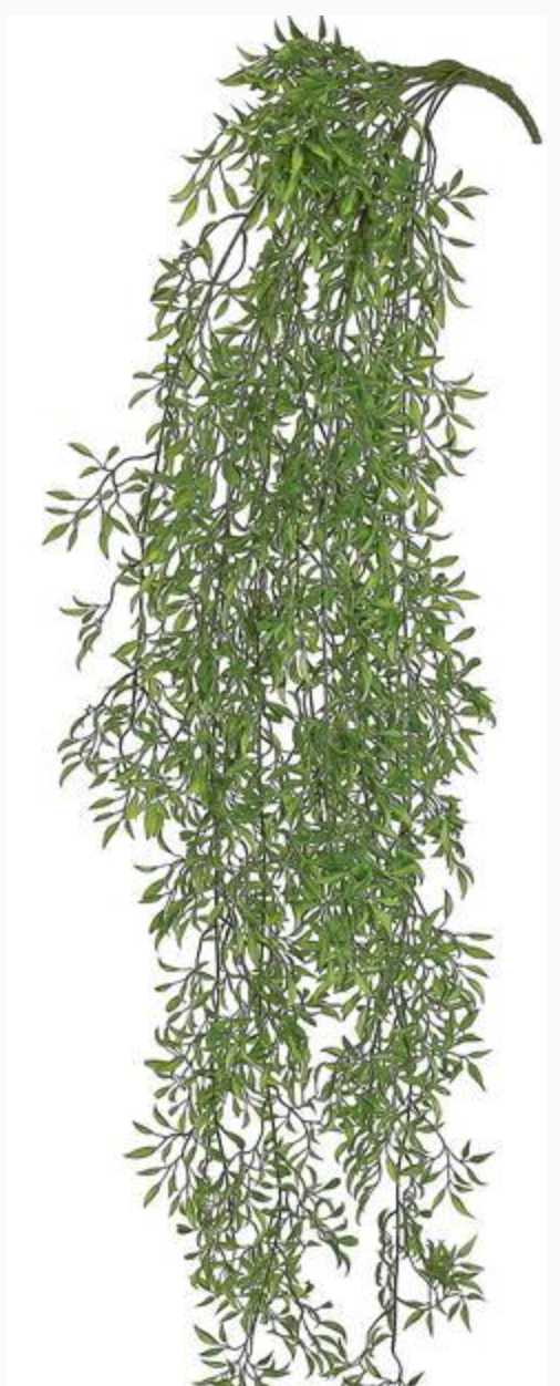 50" Ruscus Vine