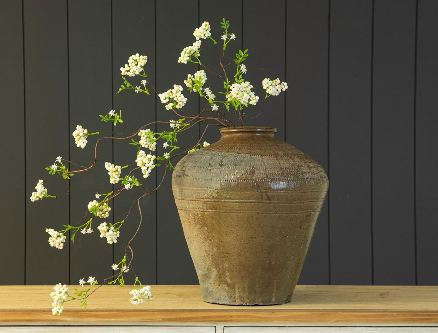 Arabian Jasmine Branch