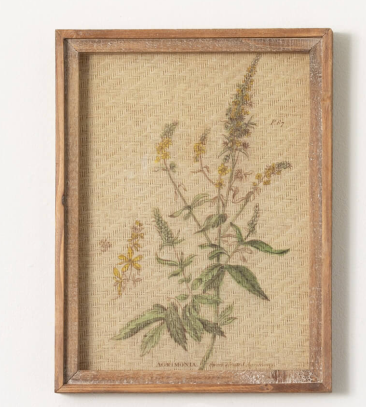 Wildflower Art Print