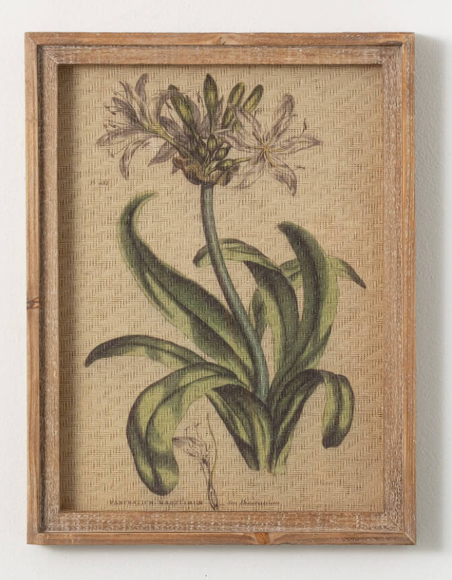 Wildflower Art Print