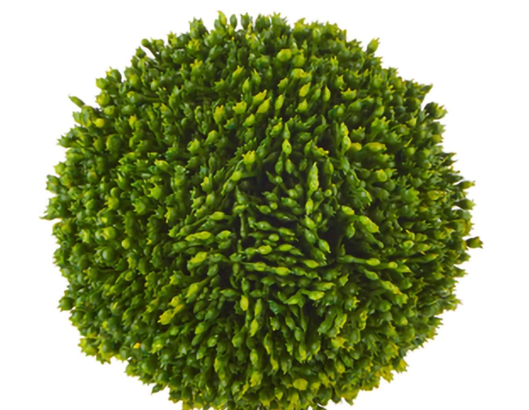 5" Sedum Ball