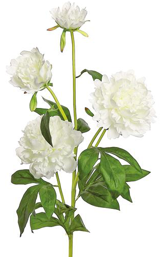 Ruffle Peony 29"