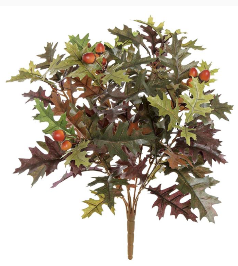 Oak Leaf Bush with Acorns