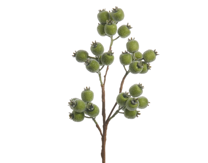 21" Iced Green Berry Spray