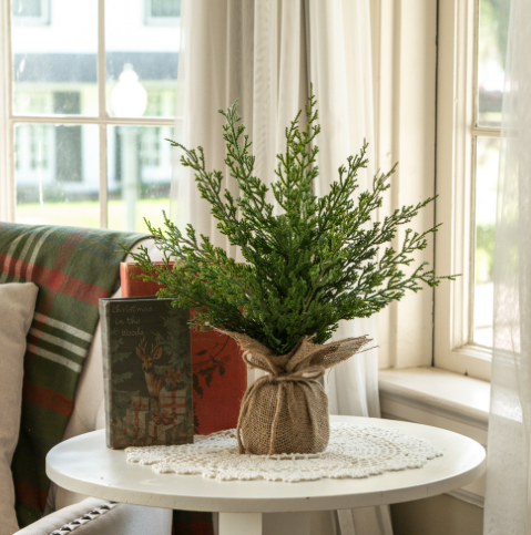 18" Cypress Tree