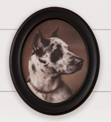 Framed Hunting Dog Prints