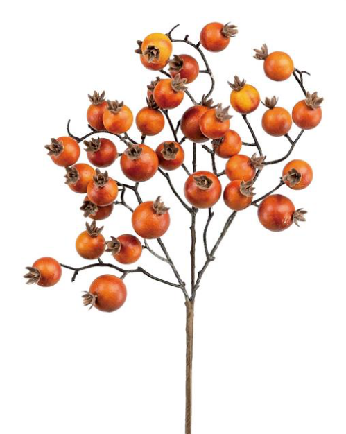 17" Berry Pick