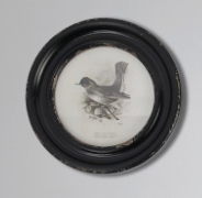 Round Wall Decor Bird