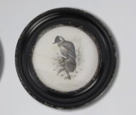 Round Wall Decor Bird