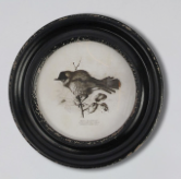 Round Wall Decor Bird