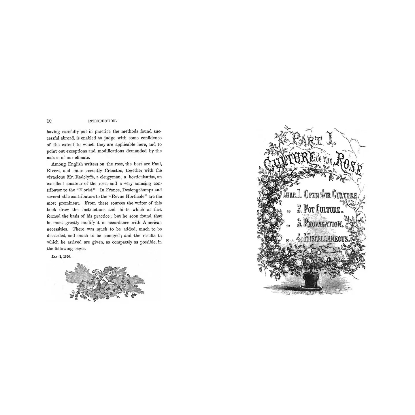 The Book of Roses