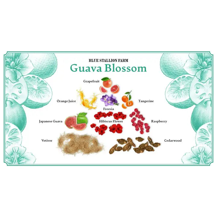 Guava Blossom Almond Milk & Acacia Honey Whipped Body Cream