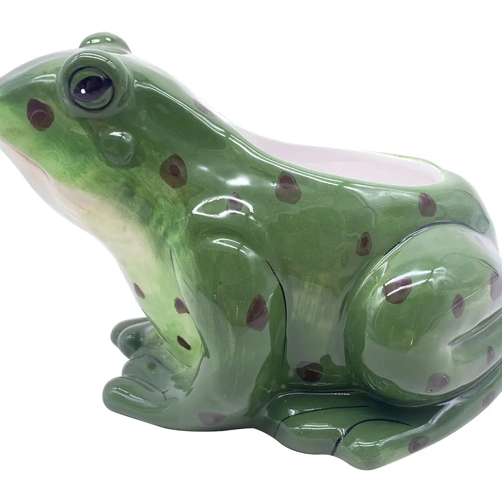 Frog Planter
