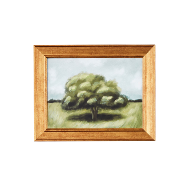 Framed Landscape Art
