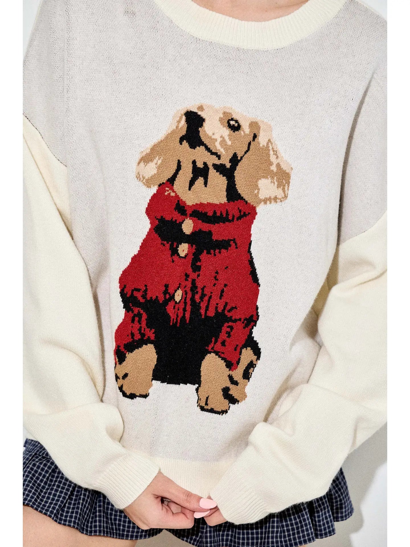 Dog in Sweater Sweater