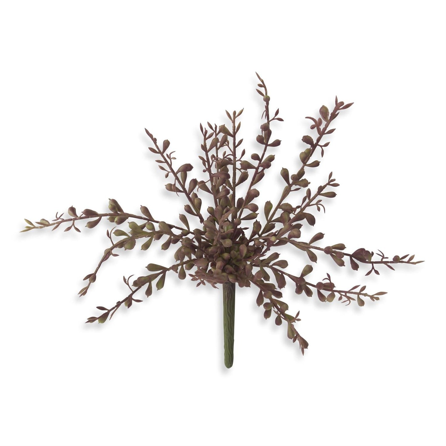 12.5" Purple Baby Tears