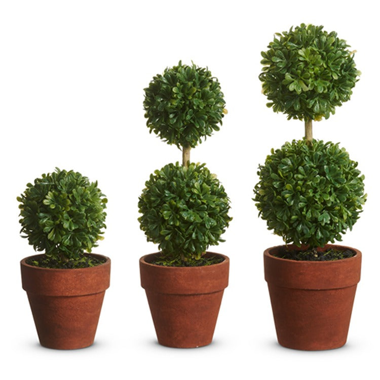9 Potted Mini Boxwood Topiaries
