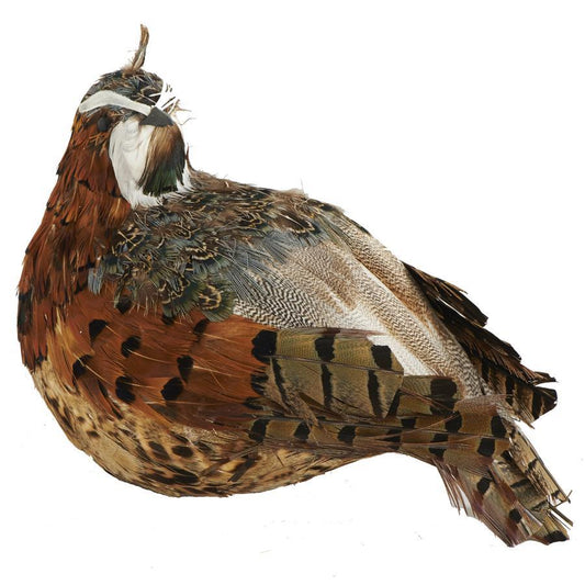 5" Feathered Quail