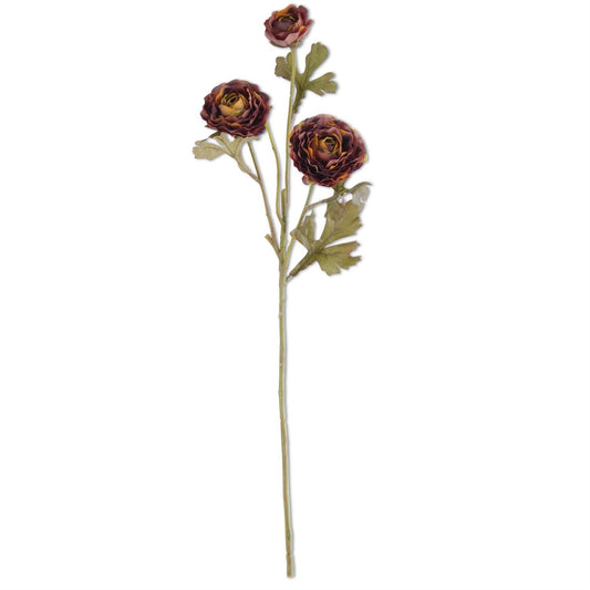 20" Dark Ranunculus Spary