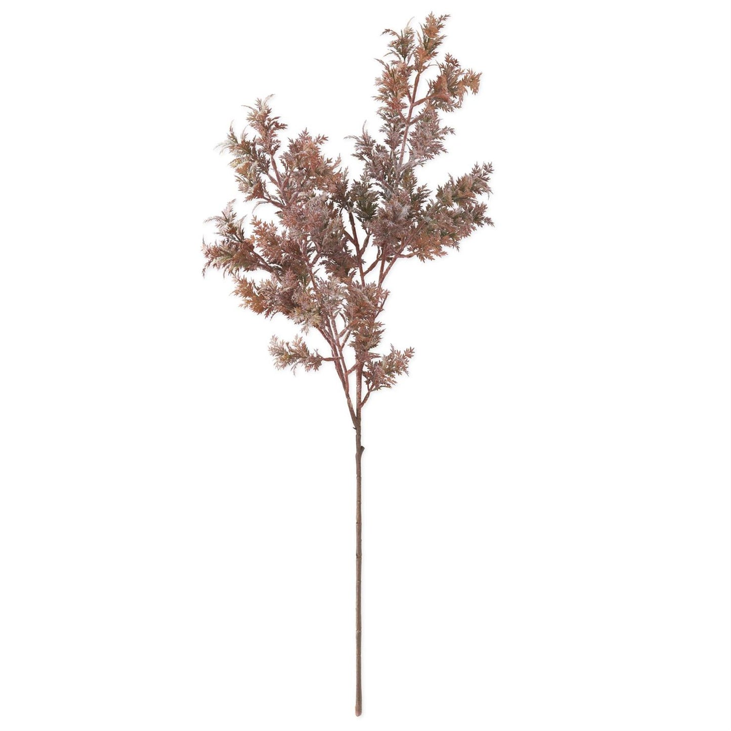 31" Burgundy Cypress Branch