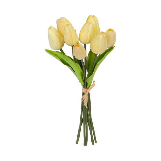 10" Tulip Bundle