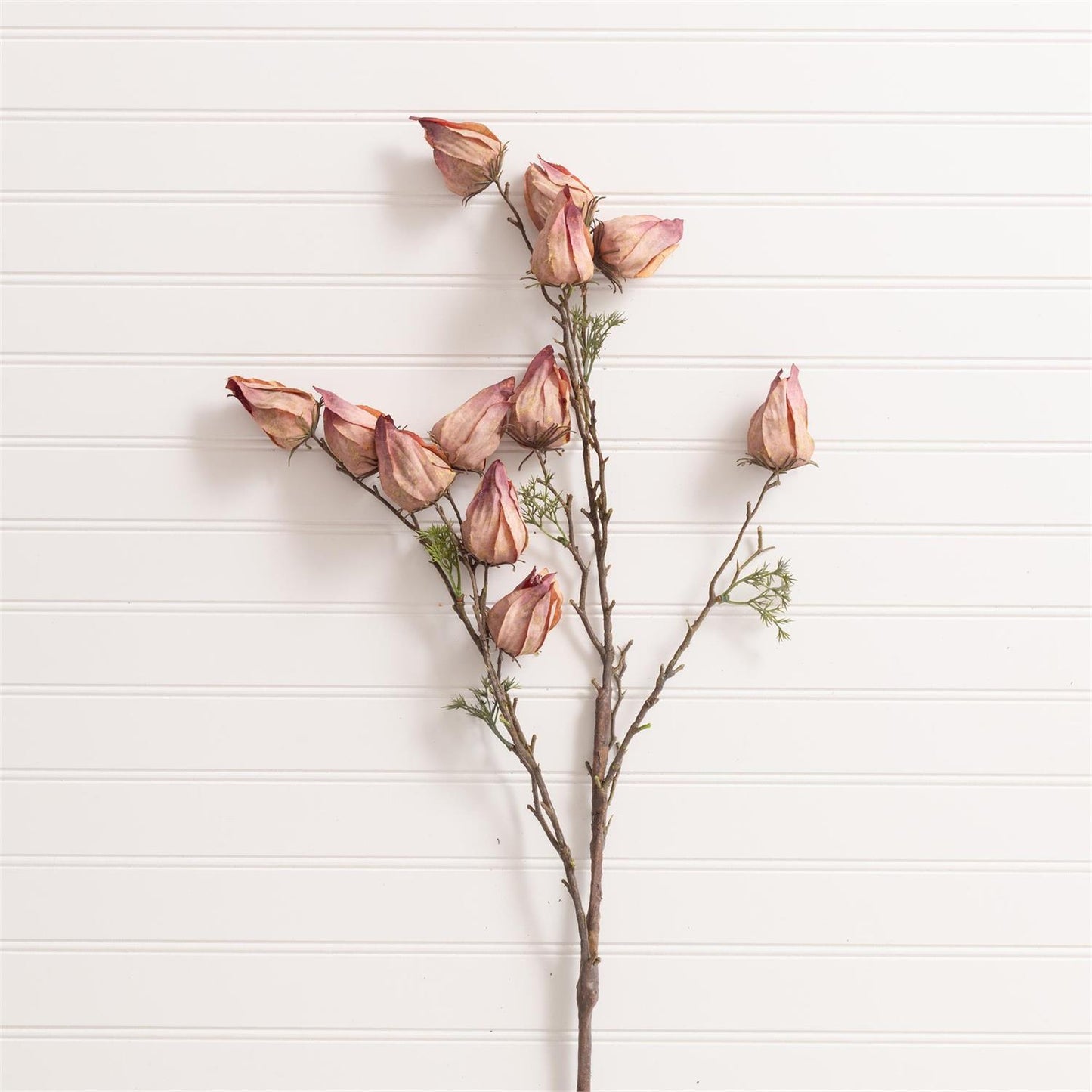Withered Chinese Lantern Spray Purple