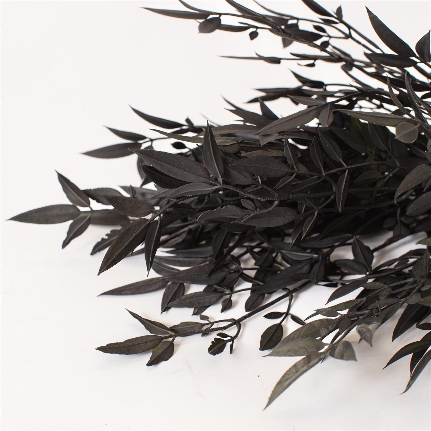 20" Nandian Bush