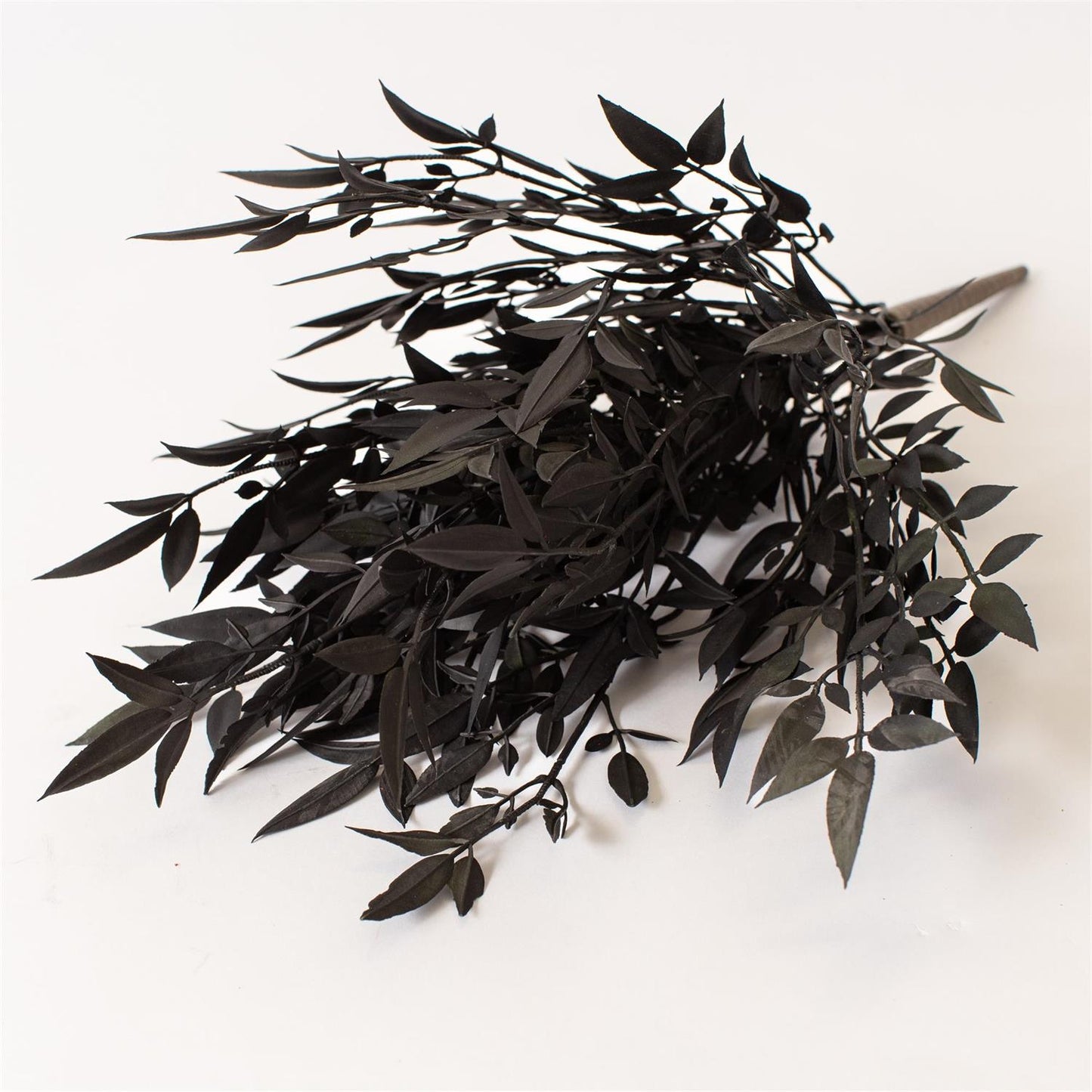 20" Nandian Bush