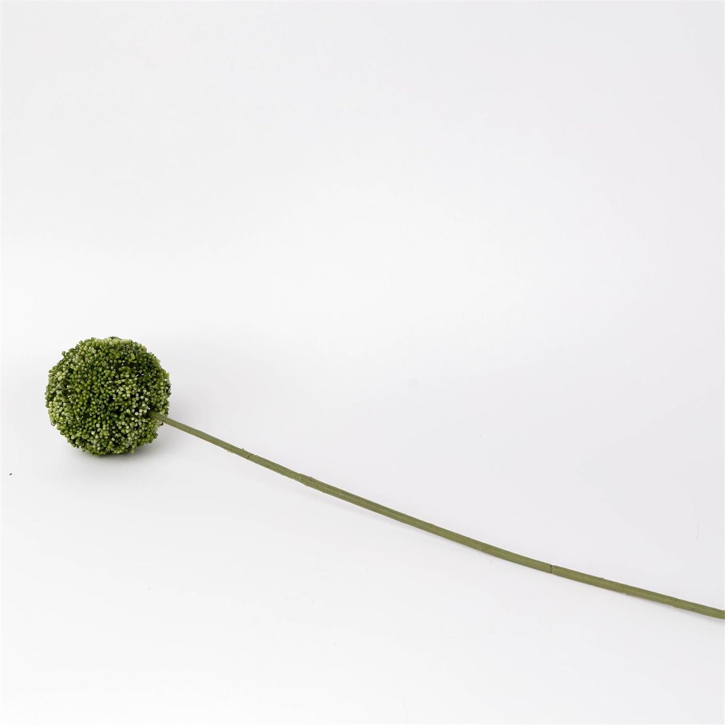 Stem - Allium Green