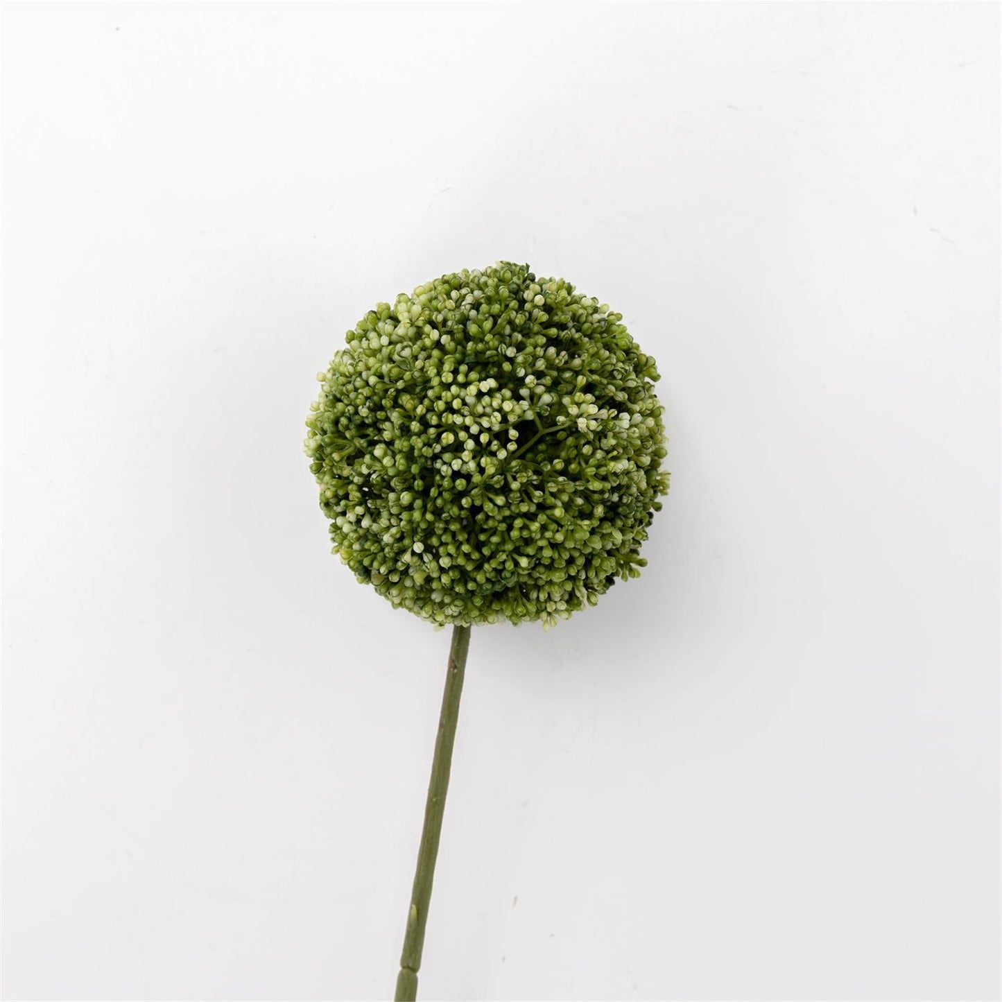 Stem - Allium Green