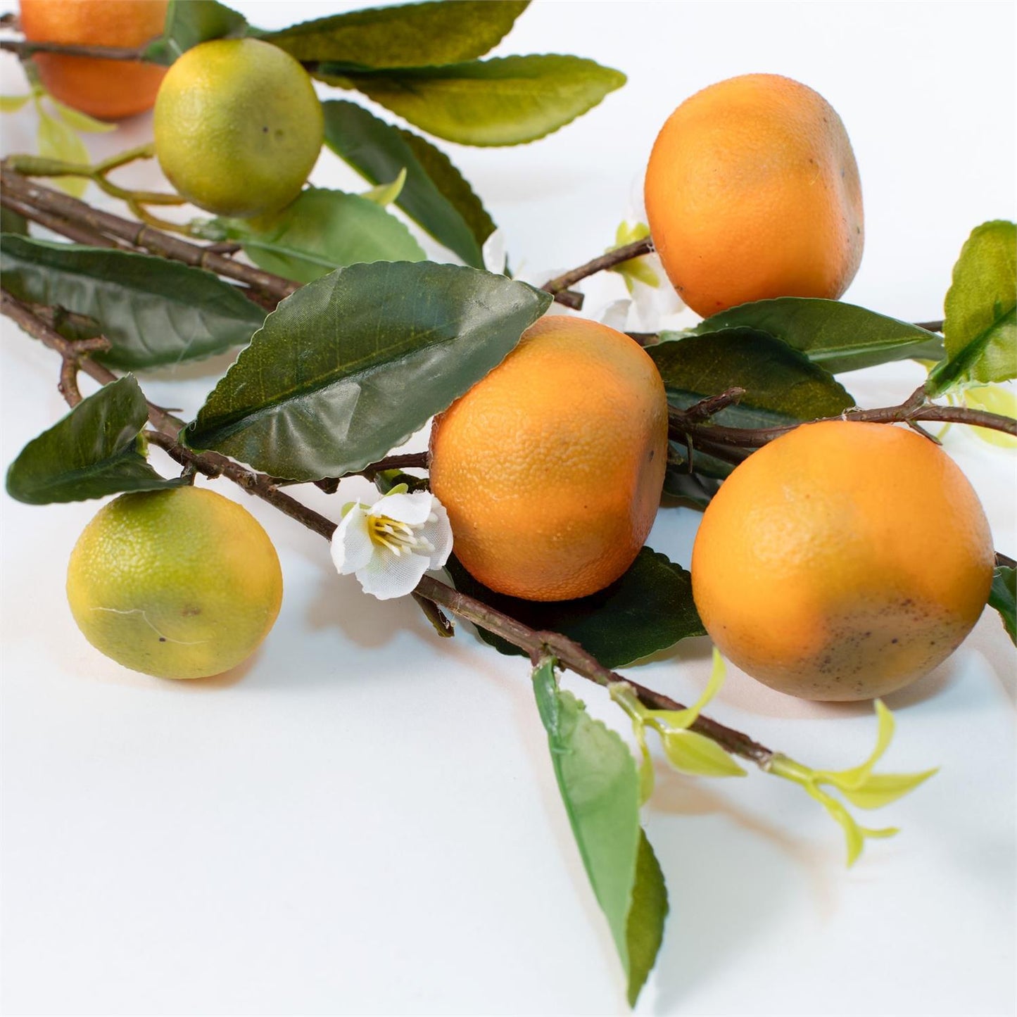 Orange & Blossom Stem