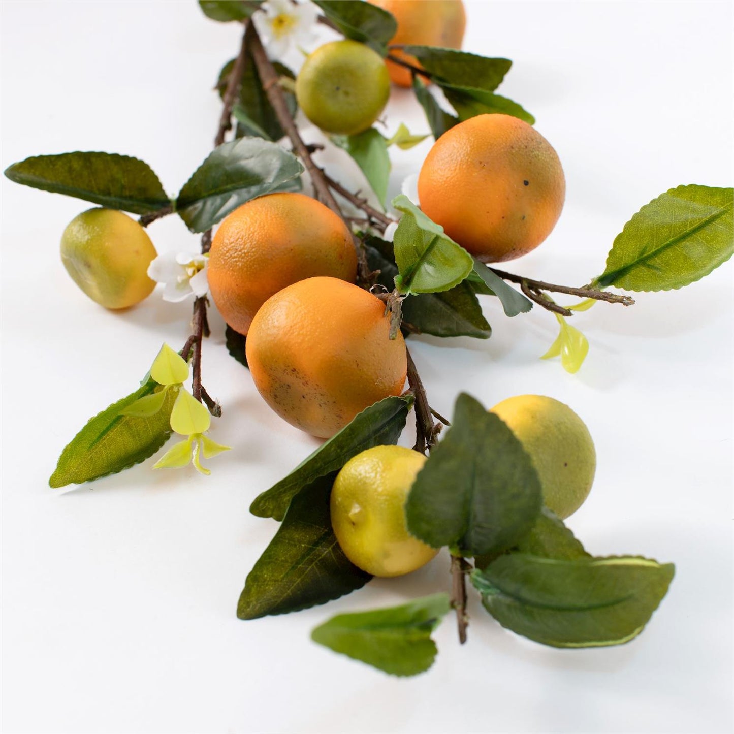 Orange & Blossom Stem