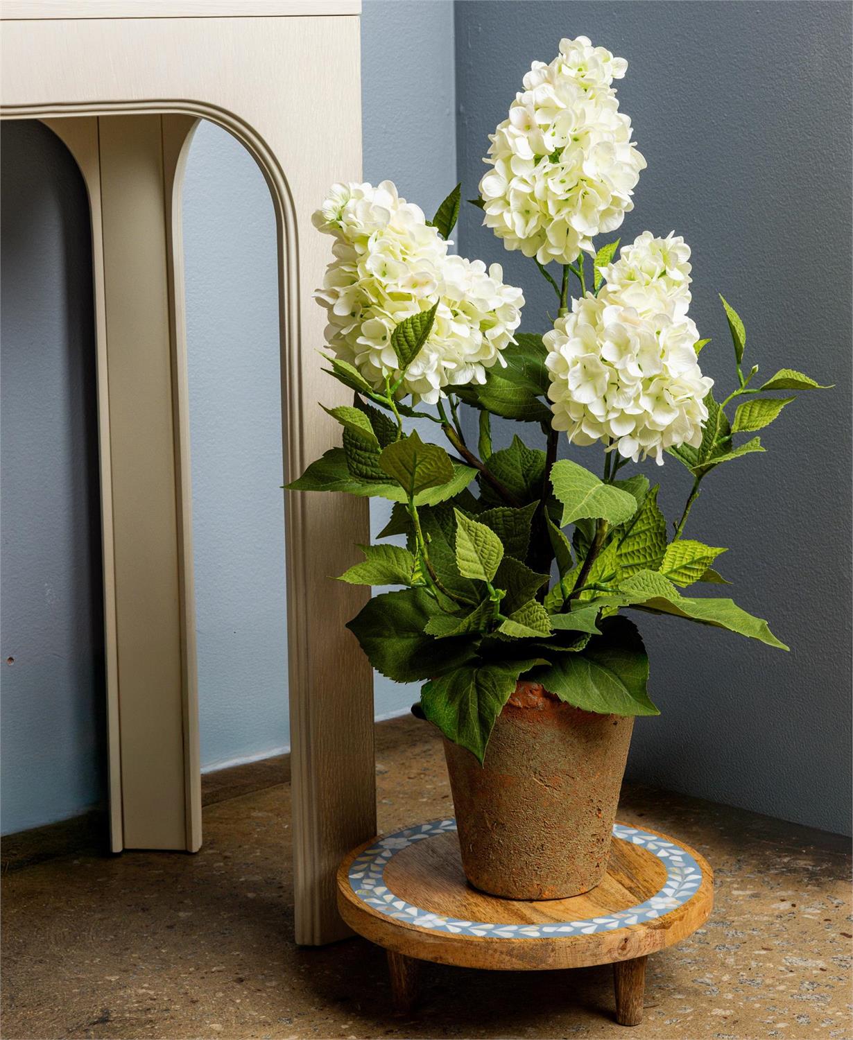 Potted - White Hydrangea