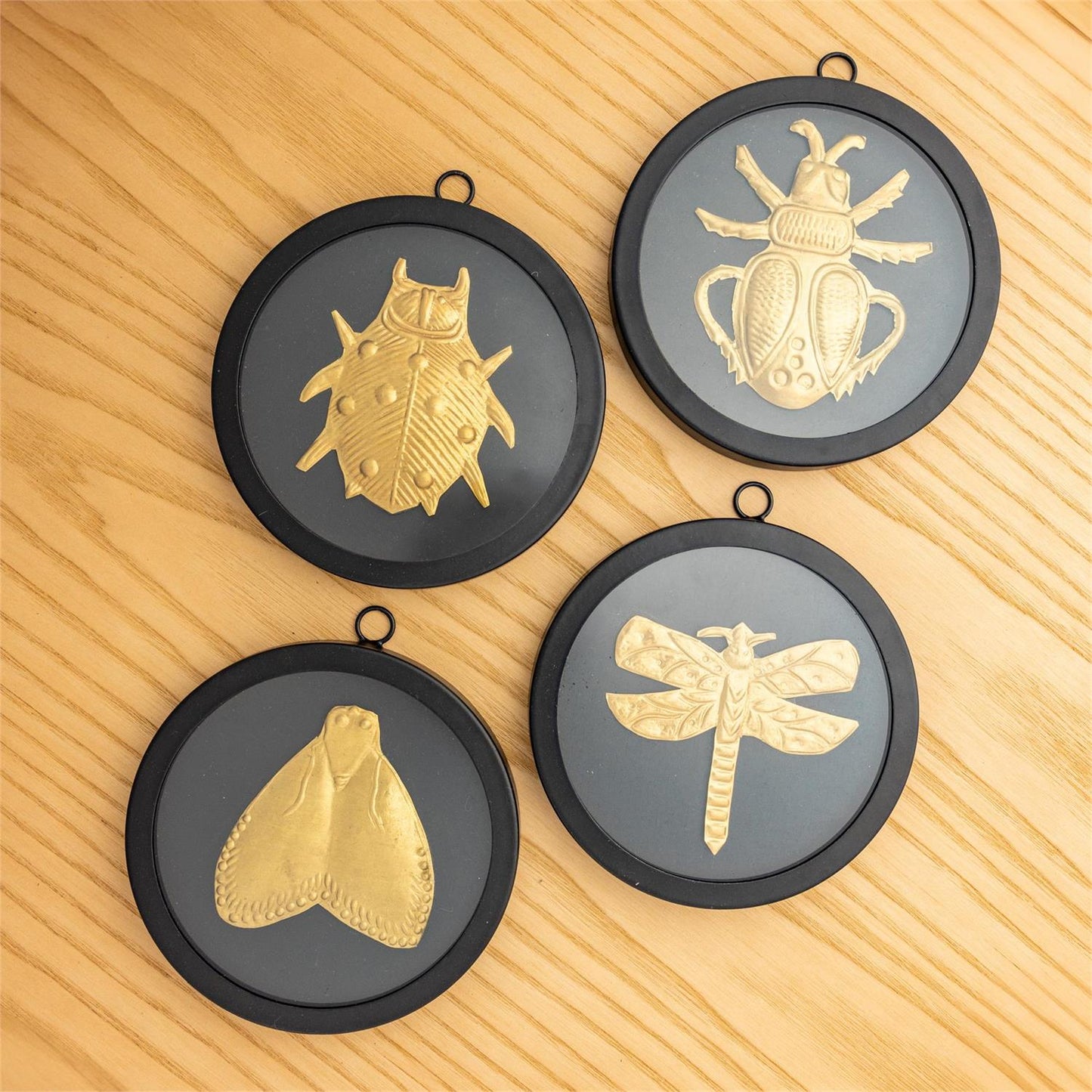Black Round Framed Brass Bug