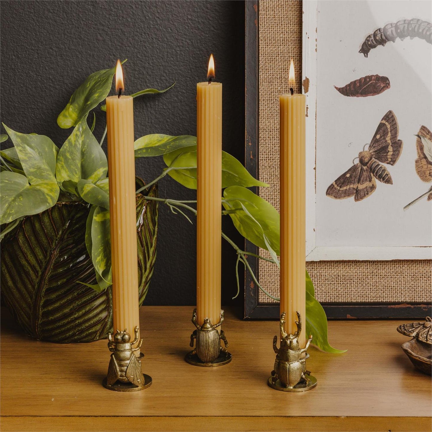 Golden Bug Candle Holder